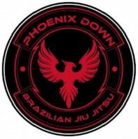 Phoenix Down Brazilian Jiu Jitsu image 4